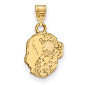 Black Bow Jewelry 14k Yellow Gold Tennessee Volunteers NCAA Small Pendant - 1 of 3