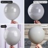 PartyWoo Balloons Gray Matte 12 Inch 50 pcs - 2 of 4