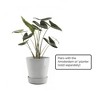Ecopots Recycled Plastic Round Flower Pot Planter Saucer with Wheels - 4 of 4