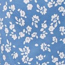sky blue floral
