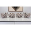 HomeRoots Set of Four 4" Gray and Brown Polyresin Rabbit Figurine Tabletop Sculpture - 2 of 4