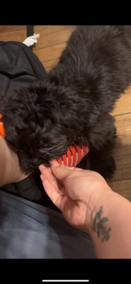 Guest review image 3 of 3, zoom in