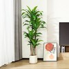 DR.Planzen 5-6FT Artificial Dracaena Tree with UV Resistant Leaves - Potted Fake Plant for Indoor/Outdoor Floor Decor, White Plastic Planter - 3 of 4