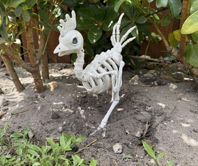 Guest review image 1 of 1, zoom in