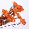 Alilang Decorative Dried Berry Stems for Home Decoration and Floral Arrangements, 17 Inches - 4 of 4