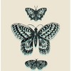 Celestial Tropics Butterflies Adult Crew Neck Short Sleeve Tee - 2 of 2