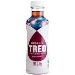 Treo Organic Fruit & Birch Blueberry Water - 16 fl oz Bottle