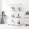 Two-door Glass Display Cabinet 3 Shelves with Door, Floor Standing Curio Bookshelf for Living Room Bedroom Office - 3 of 4