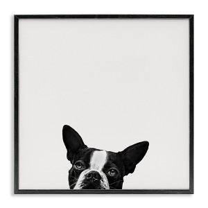 Stupell Industries Dog Peeking From Below, 17" x 17" - 1 of 4