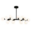 CWI Lighting Arya 16 Light Chandelier With Black Finish - 3 of 3