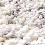 cream, gray, ivory, medium gray, tan, charcoal