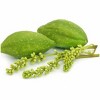 Namhya Haritaki or Harad (100g X 2) - for Good Immunity and Digestion (Pack of 2) - 4 of 4