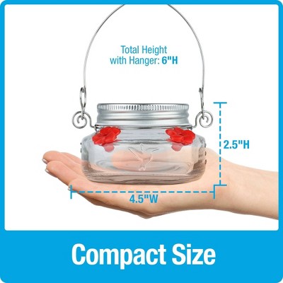 Clear Glass and Metal Hanging Hummingbird Feeder