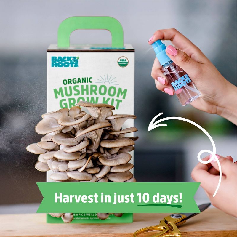 Back to the Roots Organic Mushroom Grow Kit - Oyster, 6 of 14