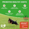 Beloved Pets Hip and Joint Soft Chews with Glucosamine Chondroitin MSM Turmeric Mobility Support for Dogs 10 Oz - 1 Pack - 2 of 4