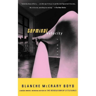 Terminal Velocity - by  Blanche McCary Boyd (Paperback)