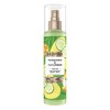 Beloved Mandarin & Cucumber Water Women's Body Mist - 8oz - image 2 of 4