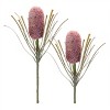 Protea Floral Stem (Set of 2) - 2 of 3