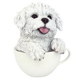 Design Toscano Puppuccino Puppy Collectible Dog Statue: White Maltese - 1 of 4