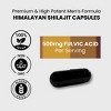 LIVS Men's Shilajit - 4 of 4