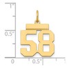Black Bow Jewelry 14k Yellow Gold, Athletic Collection, Small Polished Number 58 Pendant - 4 of 4