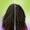 Garnier Fructis Style Curl Shape Defining Spray Gel - 8.5 fl oz - image 3 of 4