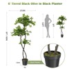 Faux Black Olive Tree, Fake Olive Tree Artificial Tree with Lights,Faux Trees Indoor with Black Planter and Realistic Leaves for Home Office DéCor De - 2 of 4