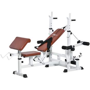 Soozier Multi-Exercise Full-Body Weight Rack with Bench Press, Leg Extension, Chest Fly Resistance Band & Preacher Curl