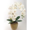 Floral Home 33.5" White Phalaenopsis Stem with 9 Flowers - 12-Piece - 2 of 4