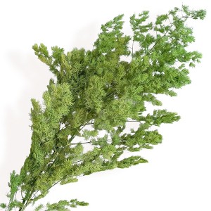 Alilang Decorative Dried Fine Leaf Stems for Home Decoration and Floral Arrangements, 17.7 Inches - 1 of 3