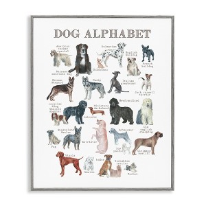 Stupell Industries Dog Alphabet Multiple Breeds Educational Animals Chart Framed Giclee Art - 1 of 4