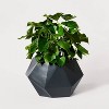 13" Wide Faceted Composite Geometric Indoor Outdoor Planter Pot - Hilton Carter for Target - 2 of 4