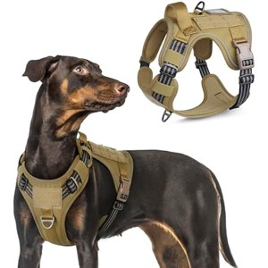 rabbitgoo Dog Harness No Pull with 2 Leash Clips, Adjustable Soft Padded, Reflective Oxford No Choke Pet Vest with Easy , Blue Coral, XL - 1 of 1