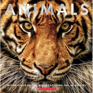 Animals: Witness Life in the Wild Featuring 100s of Species - by  Scholastic (Paperback) - 1 of 1