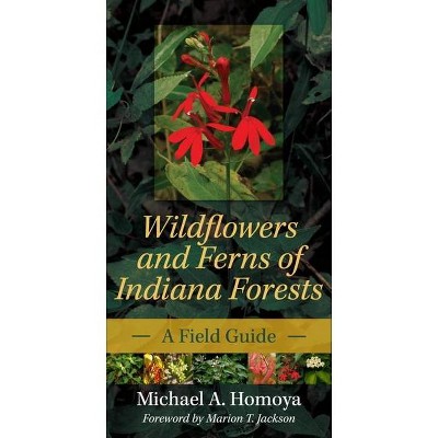 Wildflowers and Ferns of Indiana Forests - (Indiana Natural Science) by  Michael A Homoya (Paperback)