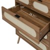 SKRAN 5 Drawer Cabinet, Accent Storage Cabinet, Suitable for Living Room, Bedroom, Dining Room, Study, Walnut - 4 of 4