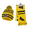 Harry Potter Adult Hogwarts Collegiate Knit Winter Cuff Beanie Hat and Scarf Set - 3 of 4