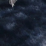 (usa) tie-dye navy blue