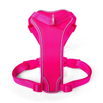 pink dog harness and leash