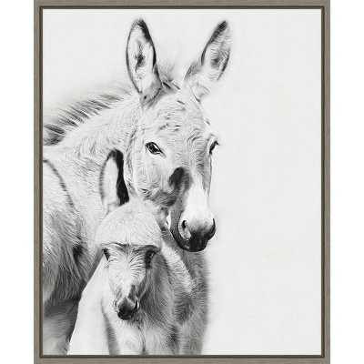 16" x 20" Donkey Portrait V by PH Burchett Framed Canvas Wall Art - Amanti Art