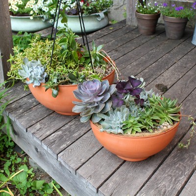 Solaria Burnt Sienna Geometric Galvanized Steel Bowl Planter