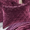 Ellora Velvet Quilt - Birch Hill by Levtex Home - 3 of 4