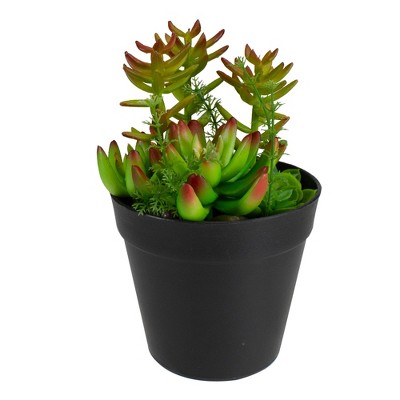 Northlight 8" Mixed Succulent Artificial Plant Arrangement in Pot - Green/Red