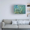 Trademark Fine Art -Vincent van Gogh 'Almond Branches In Bloom 1890' Canvas Art - 2 of 4