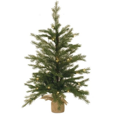 Melrose Lighted Pine Tree