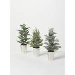 Sullivans 1', 1' & .9' Potted Pine Artificial Tree Set of 3, 12"H, 11.5"H & 12"H Green