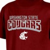 NCAA Washington State Cougars Boys' Core T-Shirt - image 3 of 3