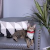 Pavilion Gift Company - The Boss - 7" x 5" Canvas Slip on Pet Bandana - Pet Toy - 2 of 4