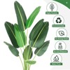 4FT/5FT Artificial Bird of Paradise Tree, Lifelike Fake Plant for Indoor Outdoor Decor- 48" /60''Tall - 2 of 4