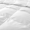 Peace Nest Light&All-Season Warmth White Goose Feather Down Comforter Duvet Dark Gray - image 4 of 4